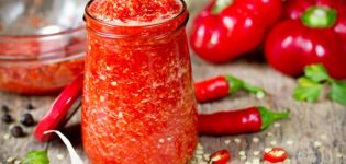 11 geriausių pomidorų adžikos gaminimo receptų žiemai namuose