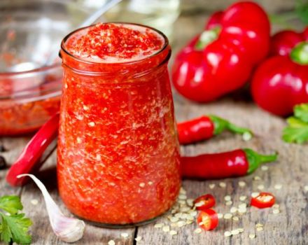 11 besten Rezepte zum Kochen von Tomaten-Adjika für den Winter zu Hause