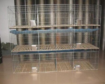 Typer og regler for fremstilling af DIY-mesh-bure til kaniner