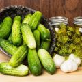 TOP 9 recepten voor ingeblikte komkommers zonder azijn voor de winter