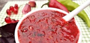6 mejores recetas para hacer adjika de grosella roja para el invierno