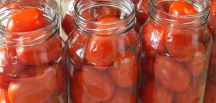 14 meilleures recettes pour cuisiner des tomates pour l'hiver à la maison