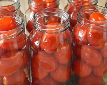 14 geriausių pomidorų kepimo žiemai namuose receptų
