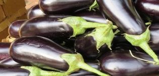 Description of the Almaz eggplant variety, features of growing and care