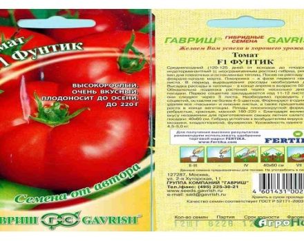Beschrijving van de tomatenvariëteit Funtik, zijn kenmerken en productiviteit