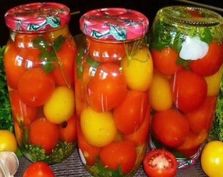 De bästa recepten för saltade tomater på ett varmt sätt för vintern