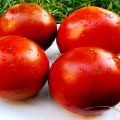 Characteristics and description of the tomato variety Paul Robson