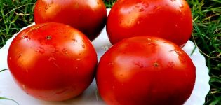 Egenskaper och beskrivning av tomatsorten Paul Robson
