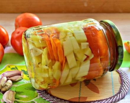 Recept för att förbereda inlagda zucchini med tomater för vintern