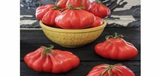 Beskrivning av tomatsorten Louis 17, funktioner för odling och skötsel