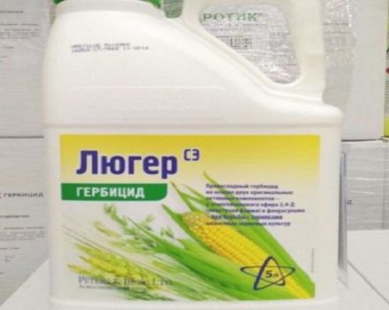 Pokyny na použitie Lugerovho herbicídu, mechanizmu účinku a miery spotreby