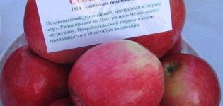 Beschrijving en kenmerken van de Solnyshko-appelboom, plant- en verzorgingsregels