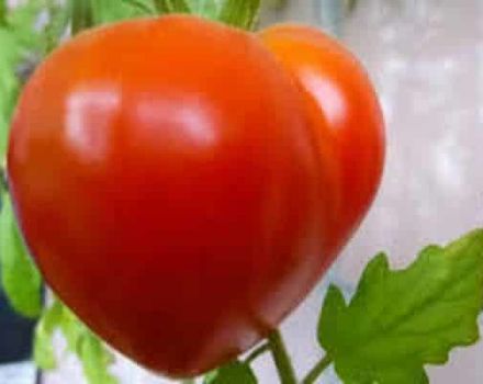 Beskrivning av den japanska tomatsorten och dess egenskaper