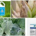 Samenstelling en instructies voor het gebruik van het fungicide Bumper Super, analogen en recensies