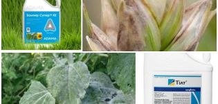 Samenstelling en instructies voor het gebruik van het fungicide Bumper Super, analogen en recensies