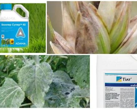 Composition and instructions for the use of the fungicide Bumper Super, analogs and reviews