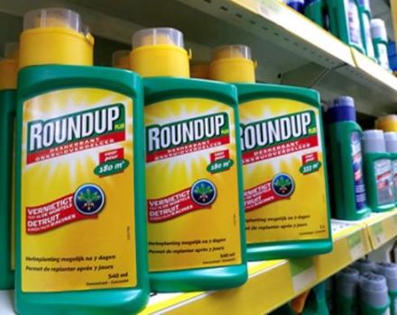 Instructies voor het gebruik van een continu werkende herbicide Roundup tegen onkruid en hoe correct te kweken