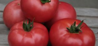 Egenskaper och beskrivning av Kibo-tomatsorten, dess utbyte