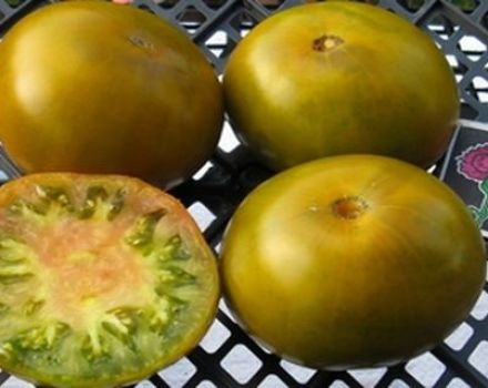 Egenskaper och beskrivning av tomatsorten Swamp, dess utbyte