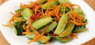 TOP 12 recipes for making a spicy cucumber snack for the winter