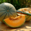Description de la variété de melon cantaloup (musc), ses types et caractéristiques