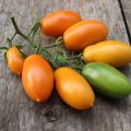 Egenskaber og beskrivelse af variationen af ​​tomater Bananrød, gul, lyserød og spraglet udbytte