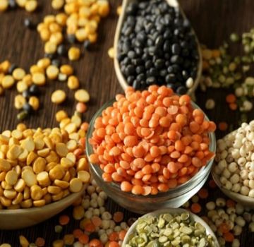 What does lentil look like and what it is, its types and varieties with a description