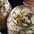 A 10 legfontosabb finom recept a pácolt laskagomba gombák elkészítéséhez otthon télen