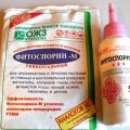 Instruktioner för användning av Fitosporin mot druvsjukdomar, dosering och behandling