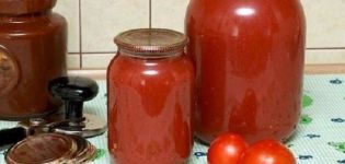 TOP 10 bästa recept på tomatjuice för vintern hemma