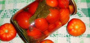 16 recepten voor het beitsen van tomaten zonder azijn voor de winter