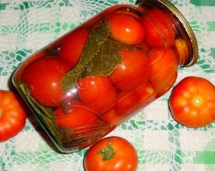 16 receptų, kaip žiemą marinuoti pomidorus be acto