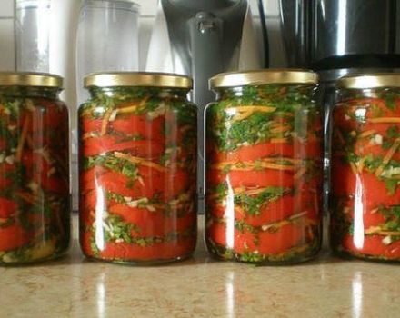 14 najlepších podrobných receptov na výrobu papriky na zimu