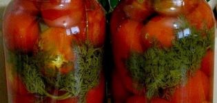 Paprasti receptai marinuoti agurkai su morkų viršūnėlėmis žiemai