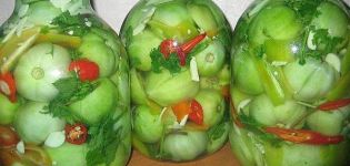 TOP 20 jednoduchých receptov na zelené paradajkové občerstvenie na zimu