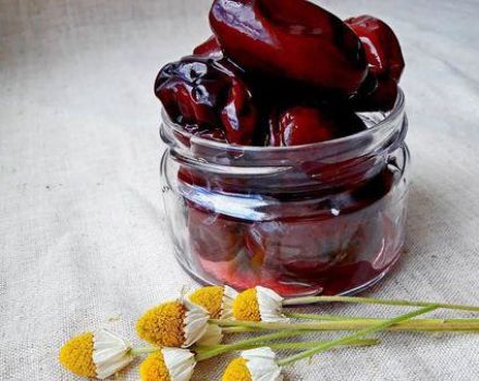Steg för steg recept för inlagd plommonsnack som oliver för vintern
