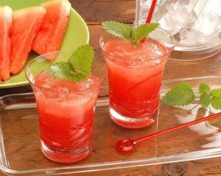 Paprastas receptas gaminti arbūzų sultis žiemai namuose