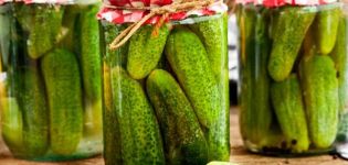 11 greito aštrių sūdytų agurkų virimo receptų