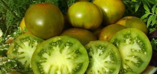 Charakteristika a opis odrody rajčiaka Emerald Apple, jeho výnos