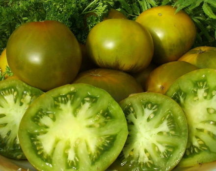 Egenskaper och beskrivning av tomatsorten Smaragd äpple, dess utbyte