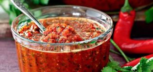 2 beste recepten voor het koken van adjika met koriander en tomaten