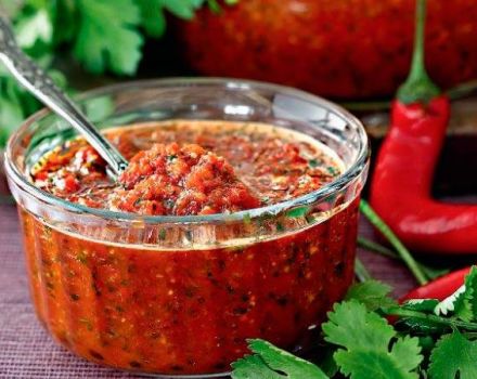 2 bästa recept för adjika med koriander och tomater