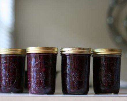 Enkla recept för att tillverka gelé för vintern av blåbär