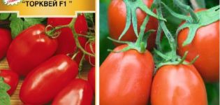 Beschreibung der Tomatensorte Torquay und ihrer Eigenschaften