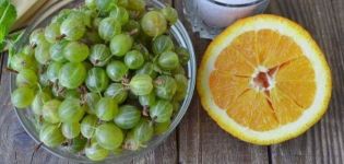 9 geriausi žiemai paruoštų agrastų apelsinų uogienių receptai