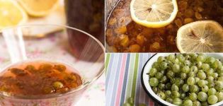 Paprastas agrastų su citrina žiemai be virimo receptas