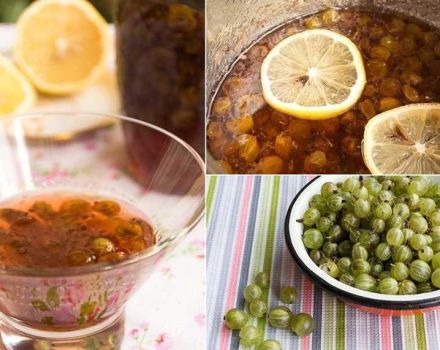 Ett enkelt steg-för-steg recept för krusbär med citron för vintern utan matlagning
