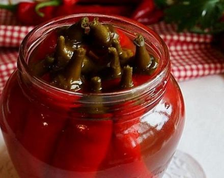 12 beste stapsgewijze hete peperrecepten voor de winter
