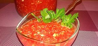 Žaliavos adžikos iš pomidorų ir česnakų receptai be virimo žiemai