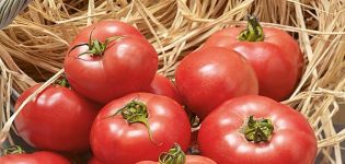 Beskrivelse af variationen i tomat Erofeich pink, funktioner i dyrkning og pleje